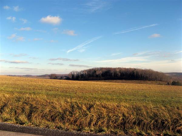 Location Image 4