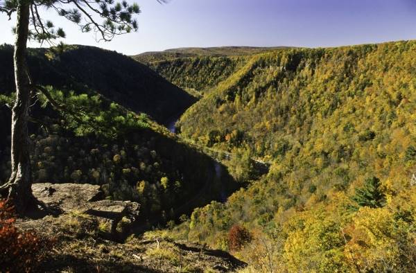 TIOGA COUNTY SCENERY