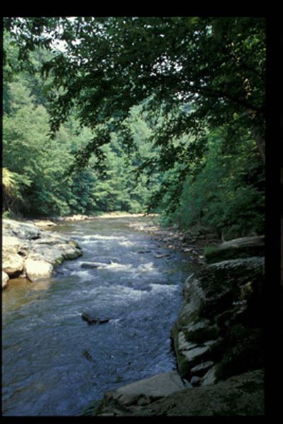 Location Image 3