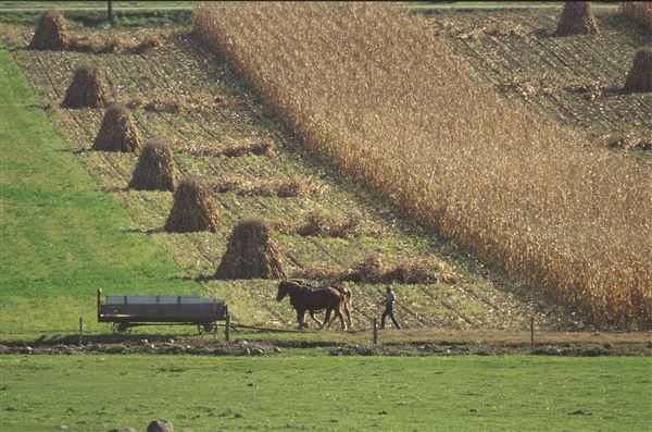 LAWRENCE COUNTY SCENERY