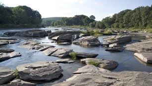 Location Image 2