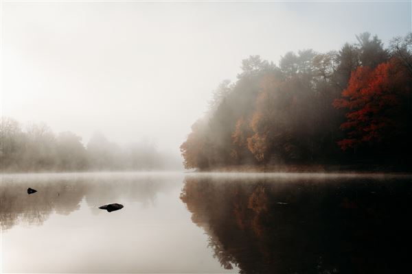 Location Image 4