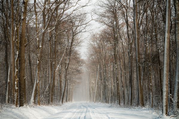 Forbes State Park, Westmoreland County