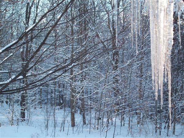 Location Image 2