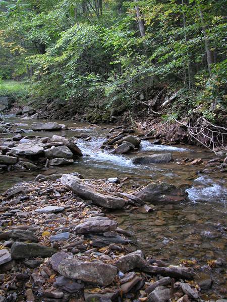 UPPER PINE BOTTOM STATE PARK
