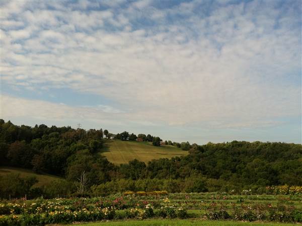 DESTINY HILL FARM, WASHINGTON