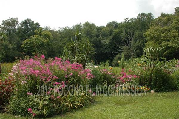 Location Image 4