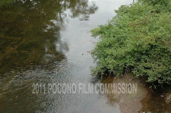 Honesdale River Shore
