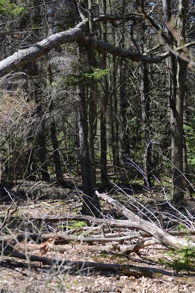 Location Image 5