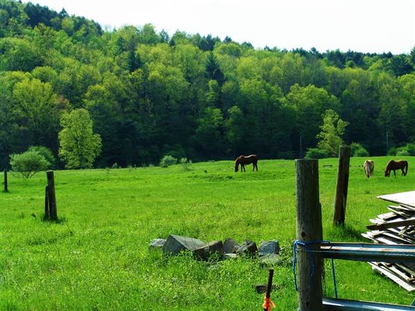 Location Image 4