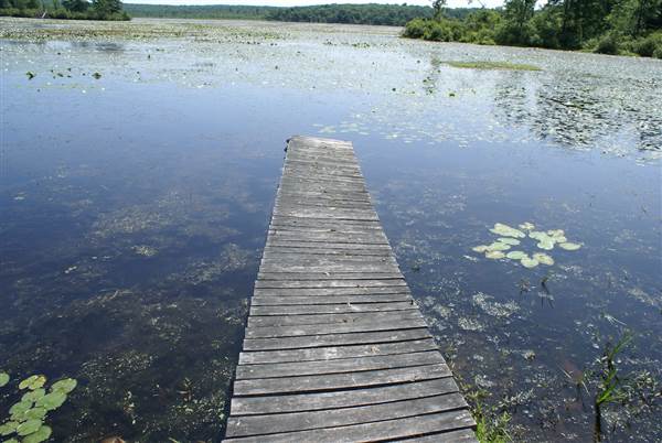 Peck's Pond