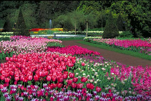 LONGWOOD GARDENS, KENNETT SQUARE