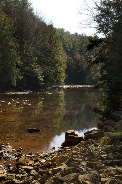 LITTLE TOBY CREEK, ELK COUNTY