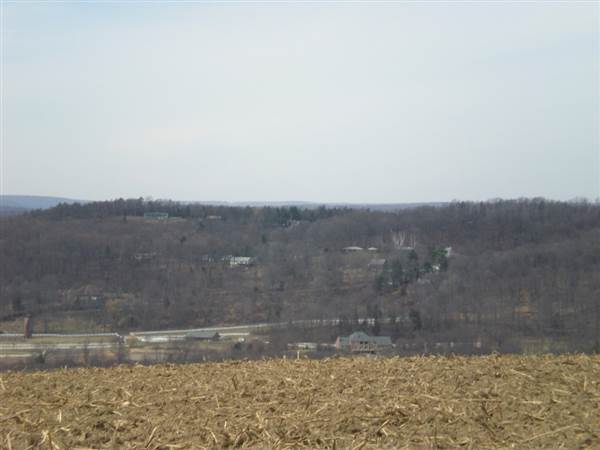 Location Image 5