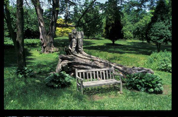 TYLER ARBORETUM, MEDIA
