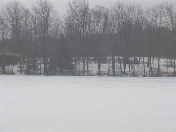 Location Image 4