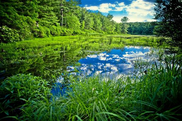 Delaware State Forest, Monroe County