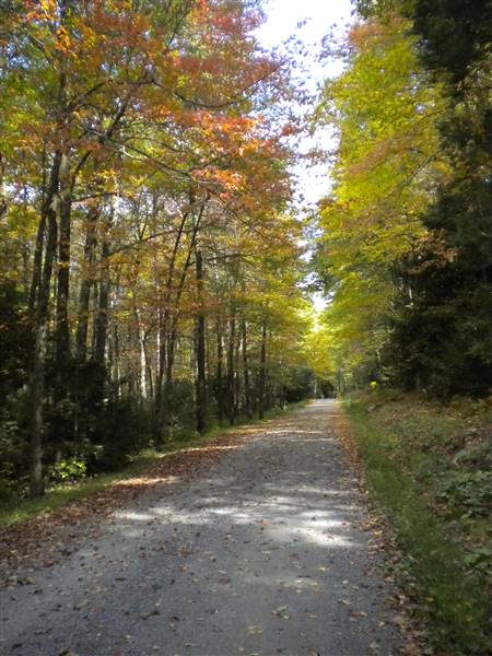 WEISER STATE FOREST