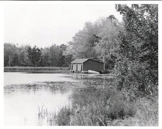 Location Image 2