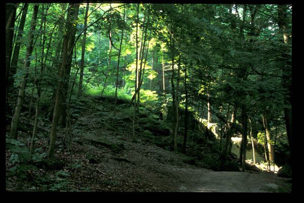 Location Image 4