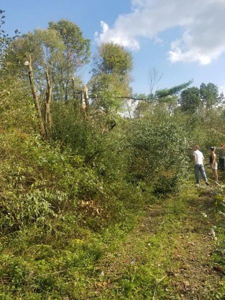 Location Image 4
