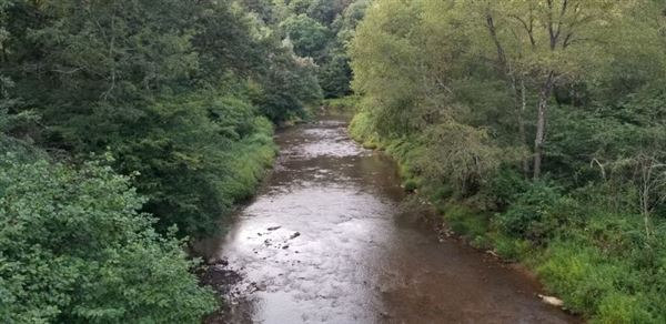 Location Image 3