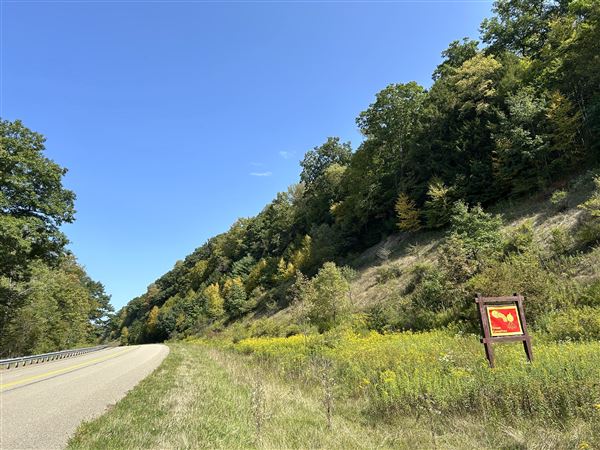 Location Image 2