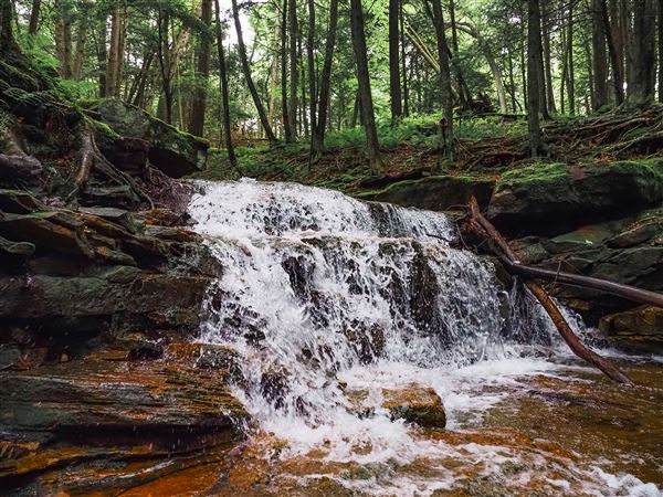 Rapp Run Falls, Clarion County