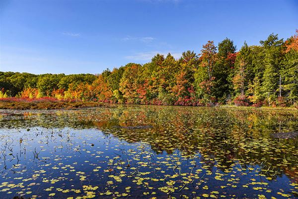 Merli-Sarnoski Park, Lackawanna County