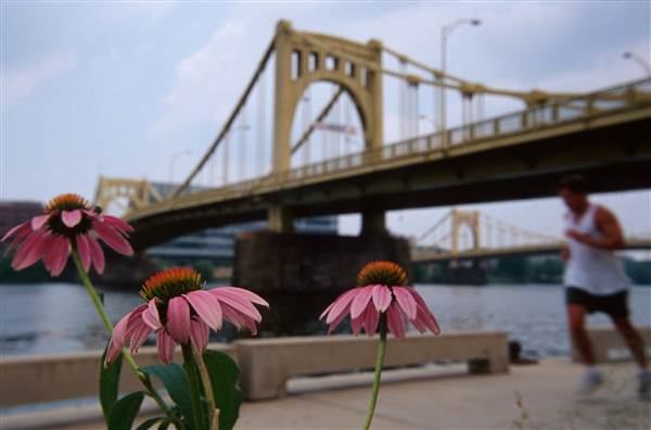 Downtown Pittsburgh
