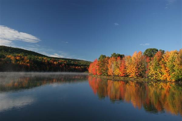 FALL in CENTRE COUNTY