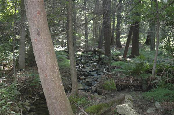 Big Spring State Park, Perry County