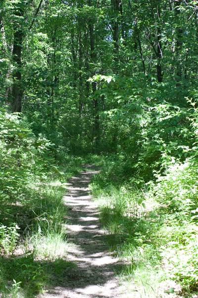 HILLMAN STATE PARK