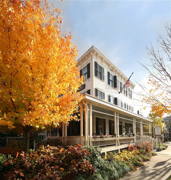 HOTEL FAUCHERE, MILFORD