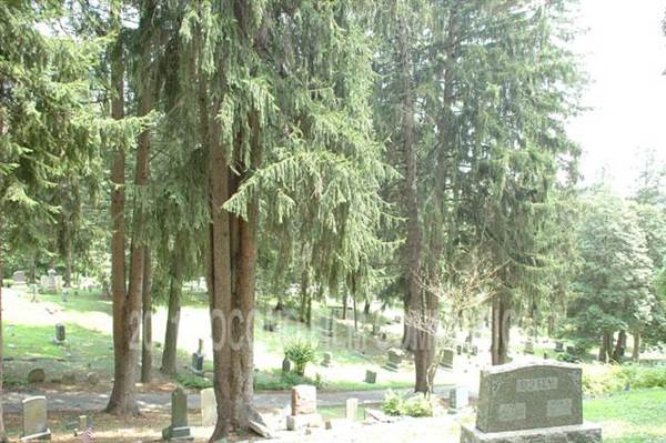 Location Image 4