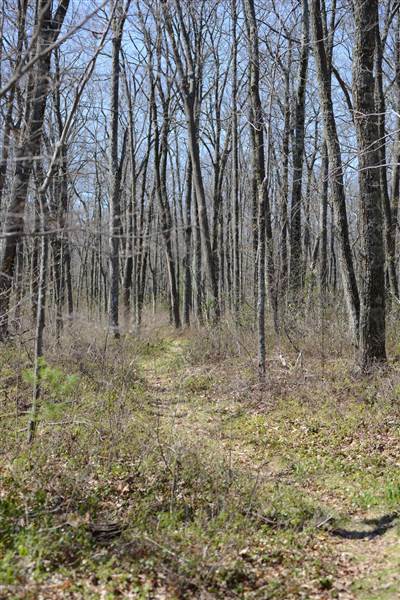 Location Image 3