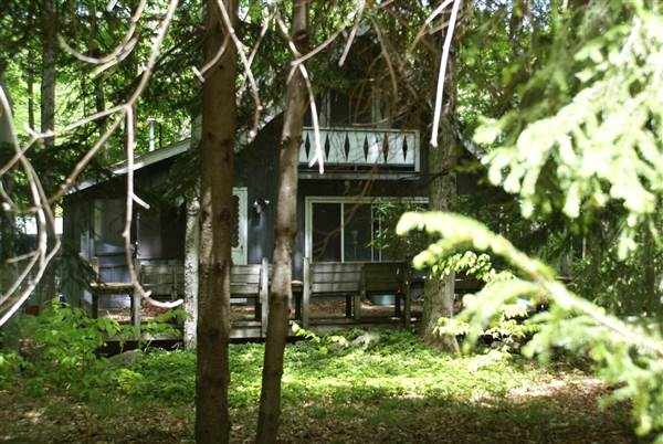 Houses in the Woods