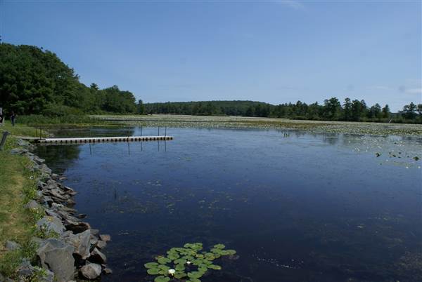 Location Image 2