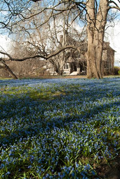 THE NATIONAL IRON & STEEL HERITAGE MUSEUM, GRAYSTONE MANSION