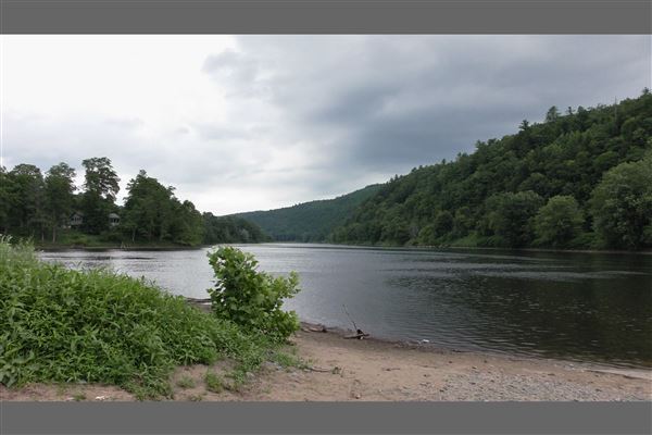 Eagle Watching on the Delaware River