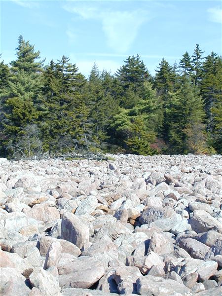 Hickory Run State Park Boulder Field, Carbon County