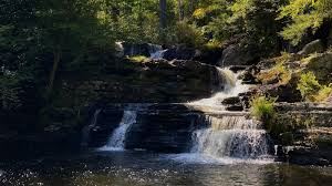 Location Image 2