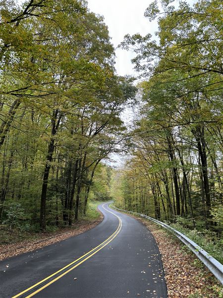 Allegheny National Forest - Road, Path Scenes
