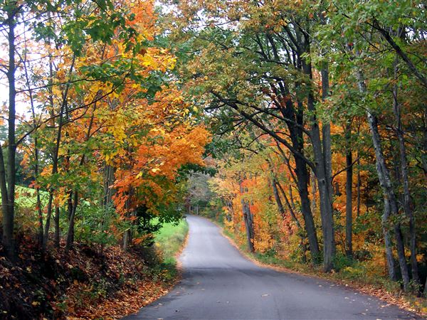 Columbia and Montour Counties in Fall