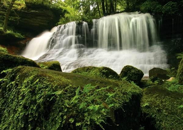 SPRINGFIELD FALLS, MERCER COUNTY