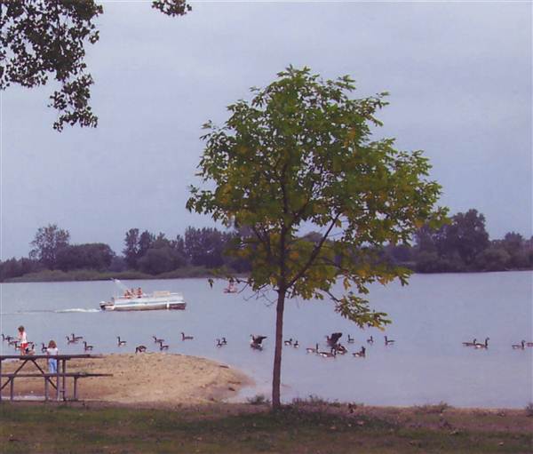 Location Image 3
