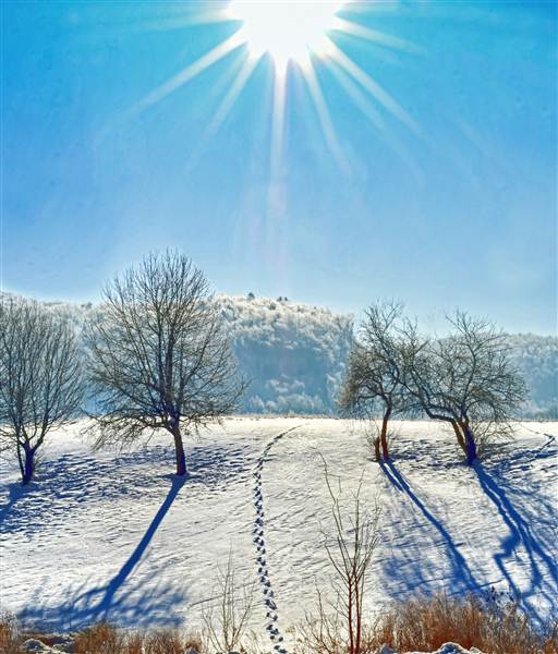 TIOGA COUNTY WINTER SCENERY
