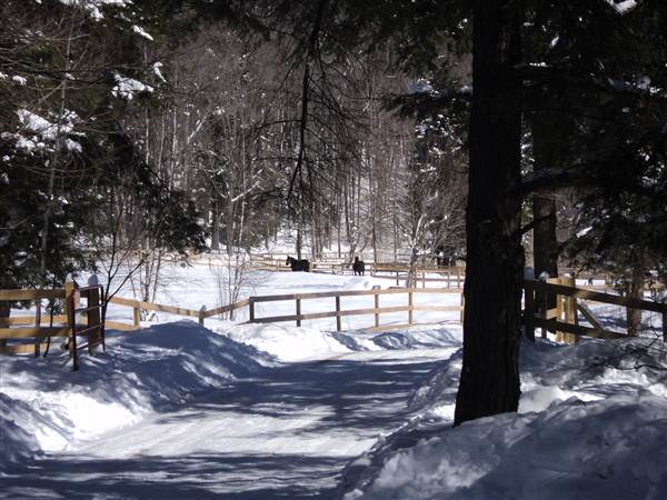 McKEAN COUNTY WINTER SCENERY