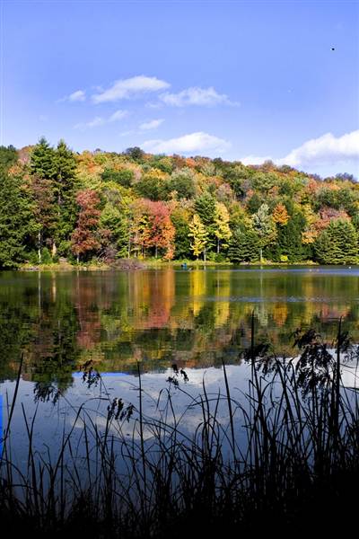 HILLS CREEK STATE PARK