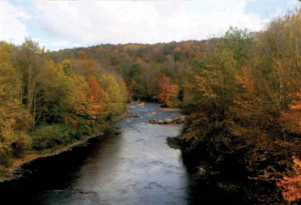 Location Image 3